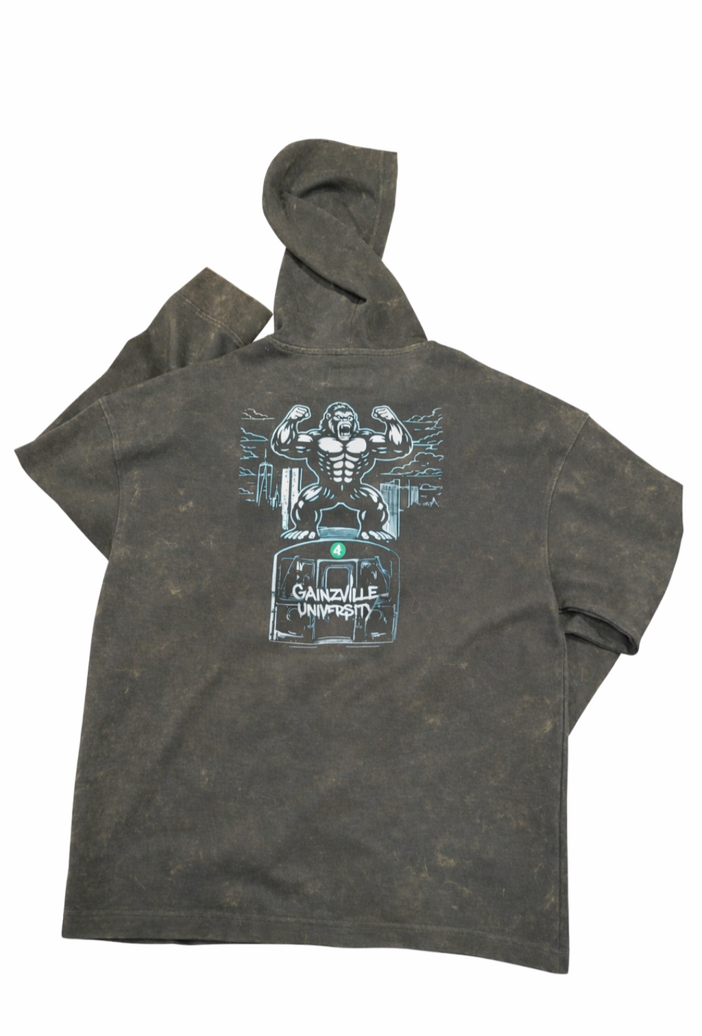 Gainzville University Gaintrain Hoodie