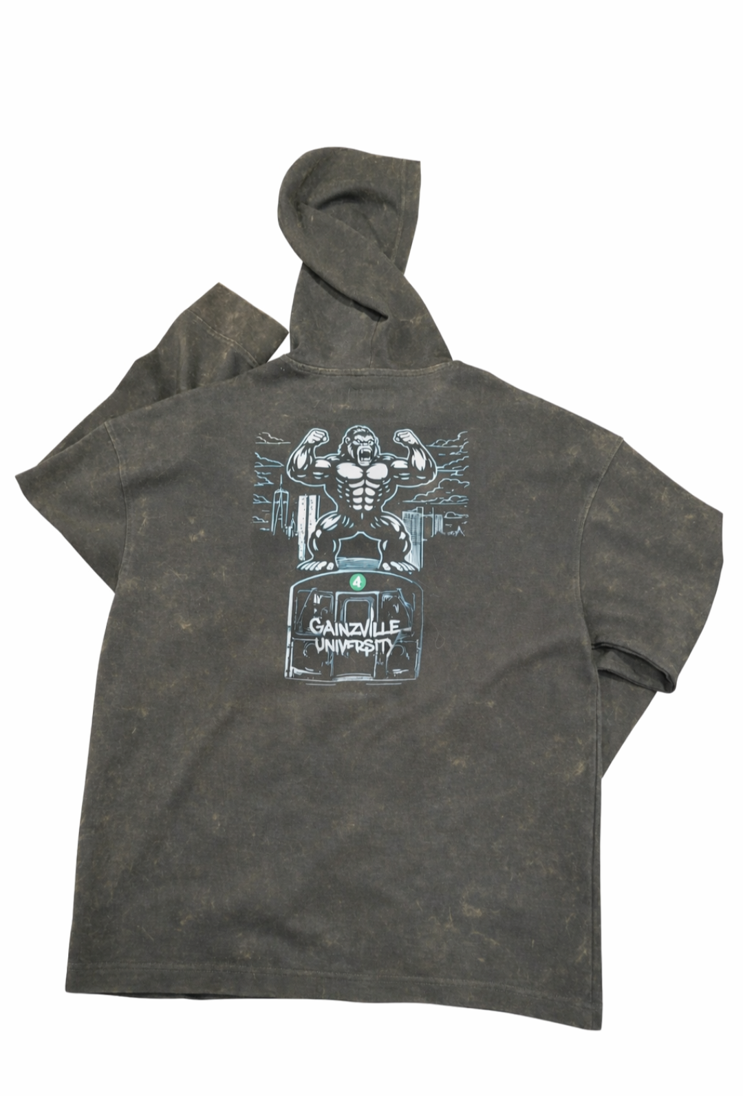 Gainzville University Gaintrain Hoodie