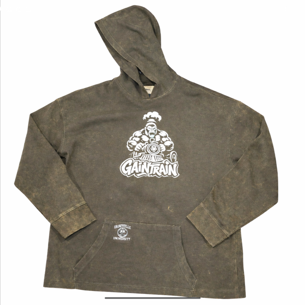 Gainzville University Gaintrain Hoodie
