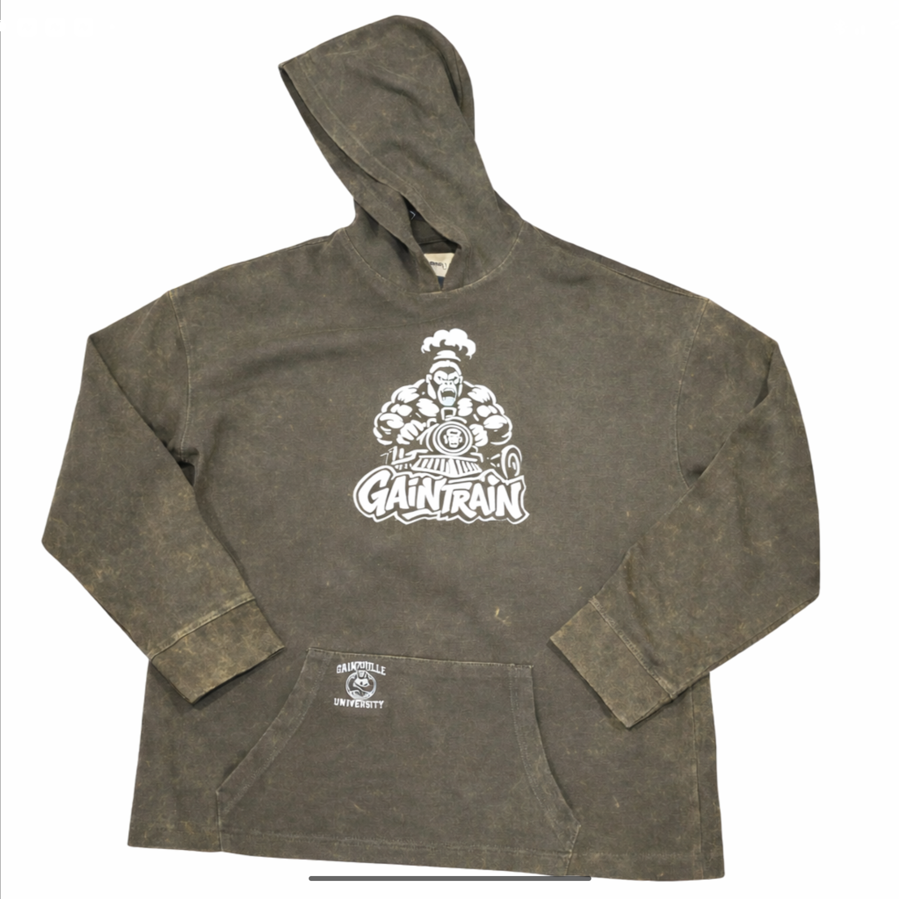 Gainzville University Gaintrain Hoodie